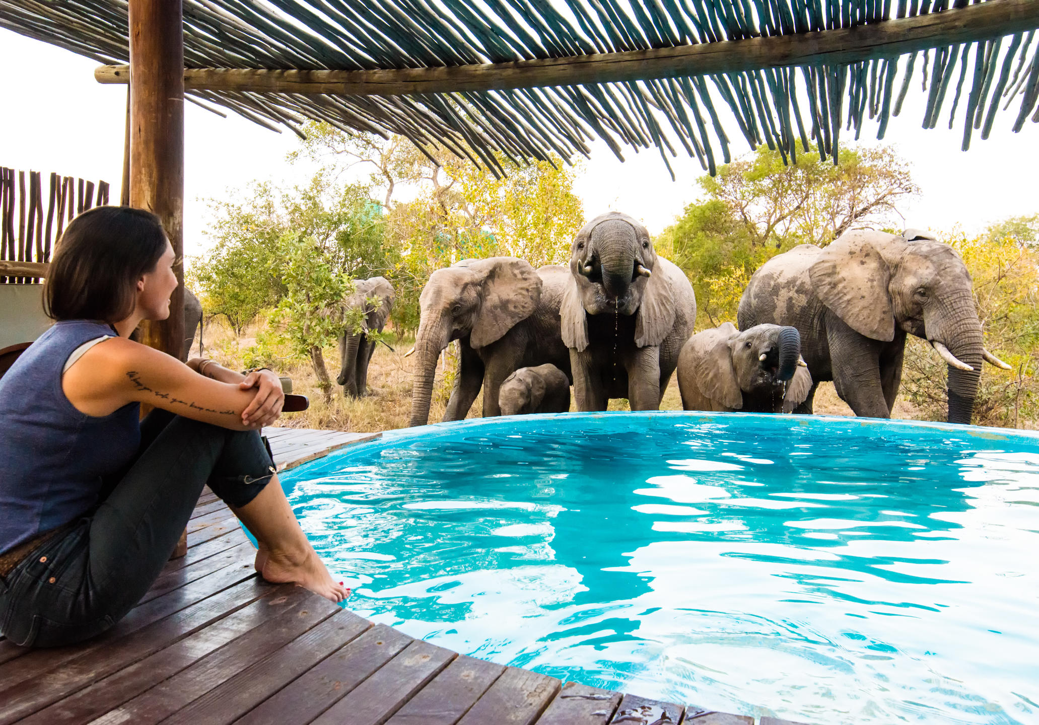 Africa on Foot thumbnail 9